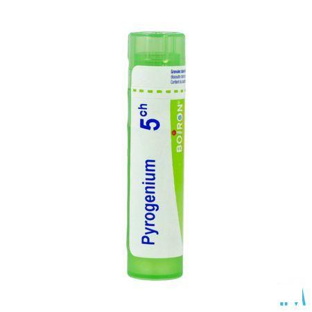 Pyrogenium 5CH Gr 4g  -  Boiron