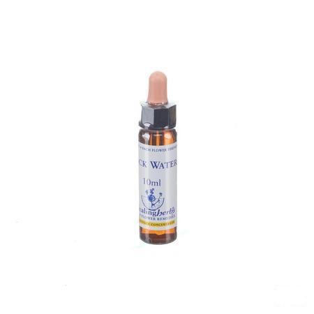 Healing Herbs Rock Water 10 ml