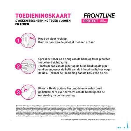 Frontline Protect Spot On Opl Hond 2-5Kg Pipet 3