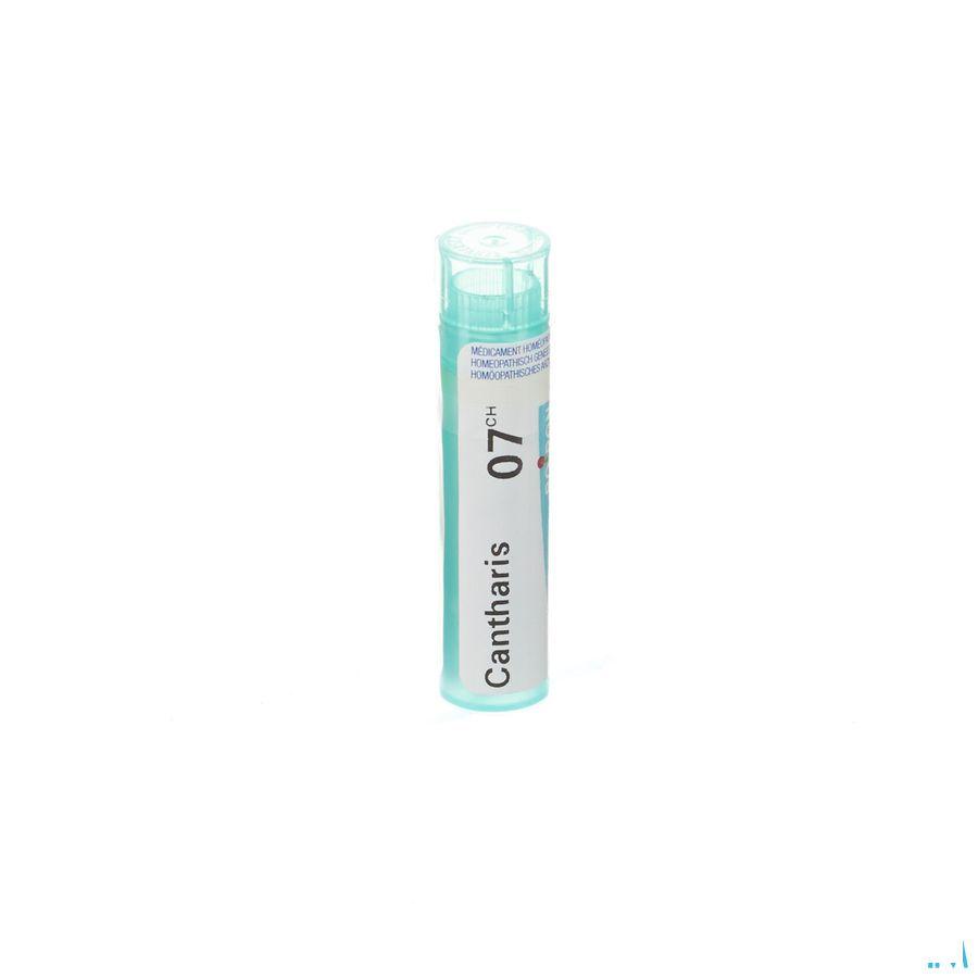 Cantharis 7CH Gr 4g  -  Boiron