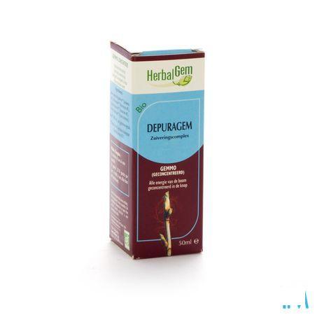 Herbalgem Depuragem Complex 50 ml  -  Herbalgem