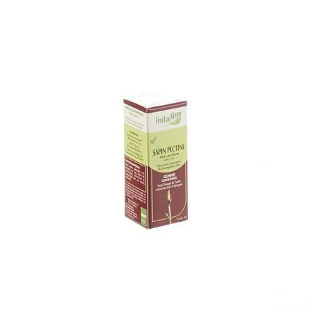 Herbalgem Zilverspar Maceraat 15 ml  -  Herbalgem