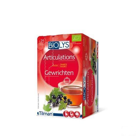 Biolys Aalbes Zakjes 24  -  Tilman