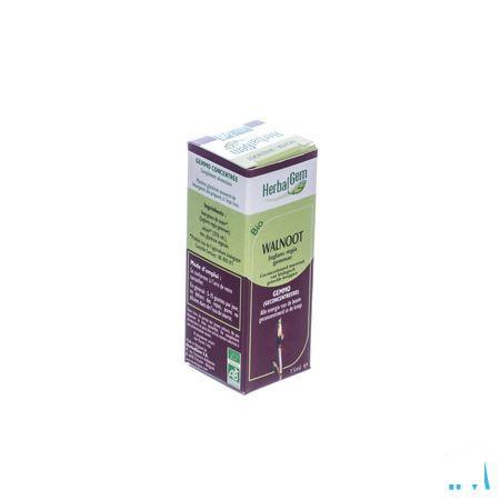 Herbalgem Walnoot Maceraat 15 ml  -  Herbalgem