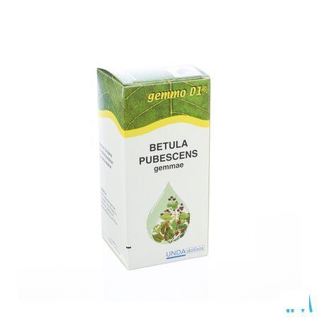 Betula Pub.gem. Gemmo D1 125 ml  -  Boiron