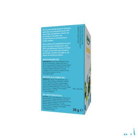 Biover Infusion Herbes Bio A/Stress 20 x 1,8 gr