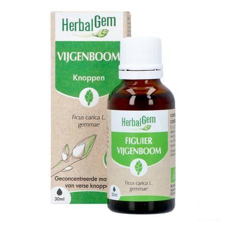 Herbalgem Figuier Bio 30 ml