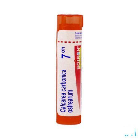 Calcarea Carbonica Ostrearum 7CH Gr 4g  -  Boiron