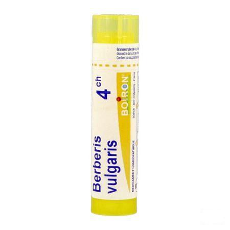 Berberis Vulgaris 4ch Gr 4g  -  Boiron