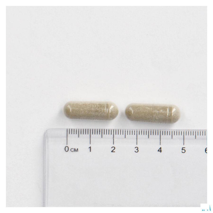 Cogniton Plus Energy Caps 90  -  Depharm
