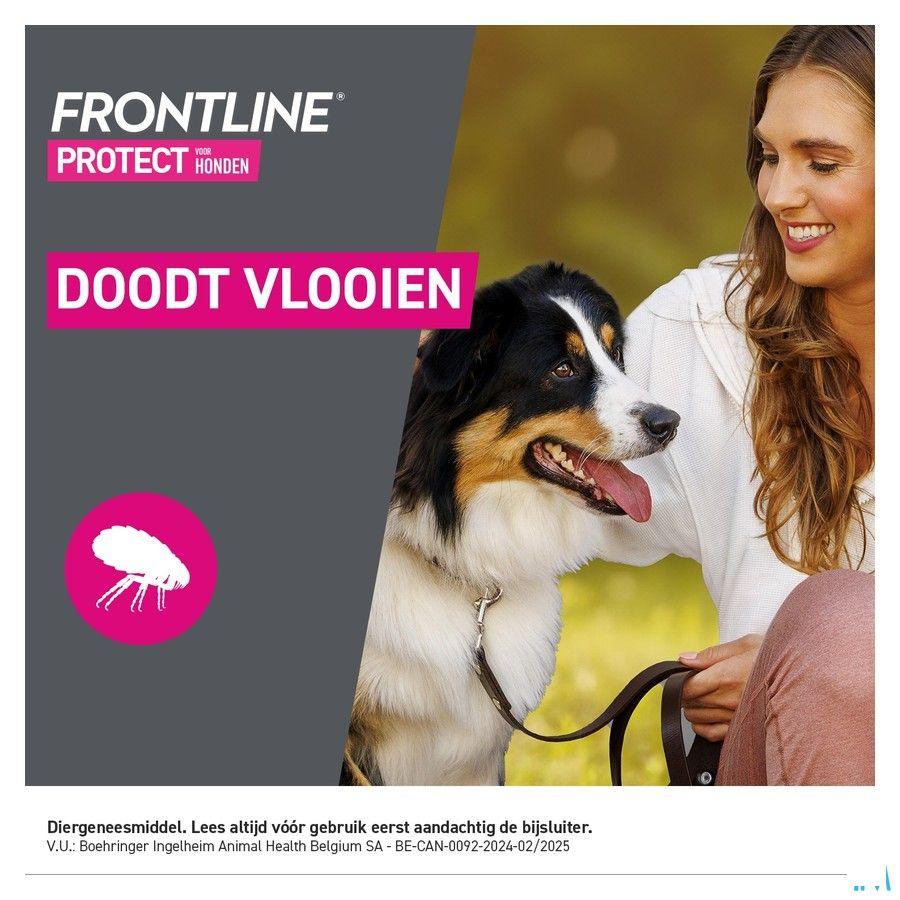 Frontline Protect Spot On Opl Hond 2-5Kg Pipet 3