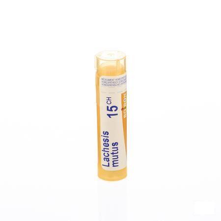 Lachesis Mutus 15CH Gr 4g  -  Boiron