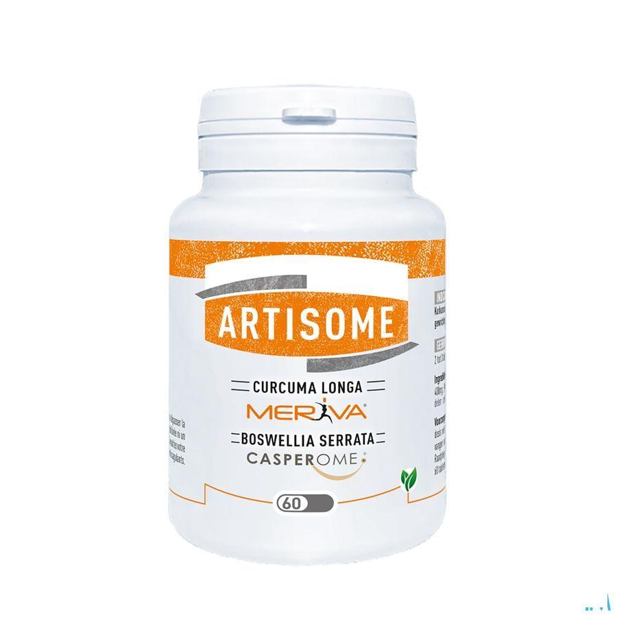 Artisome Tabletten 60 X 1000 mg  -  Dynarop Products