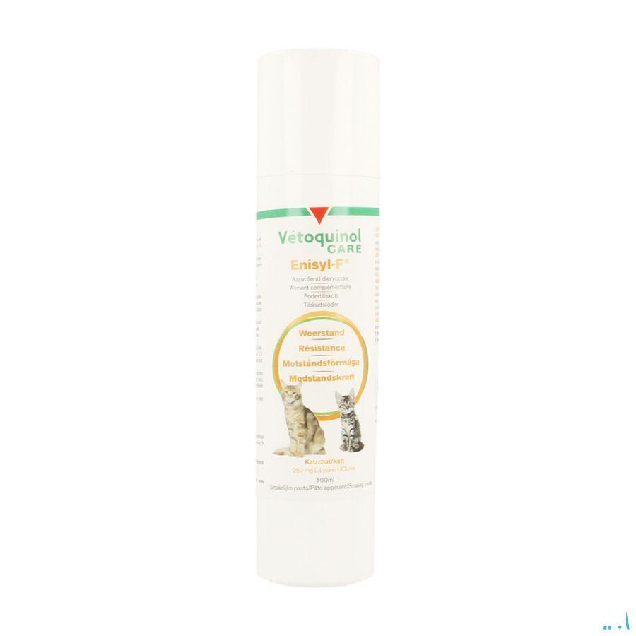 Enisyl F Pate Orale Chat 100 ml