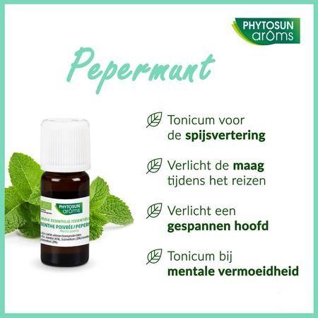Phytosun Pepermunt Fr-bio-01 10 ml