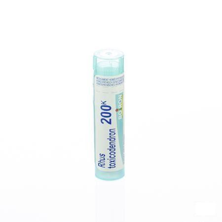 Rhus Toxicodendron 200K Gr 4g  -  Boiron