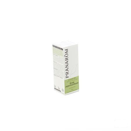 Eucalyptus Menthol Essentiele Olie 10 ml  -  Pranarom