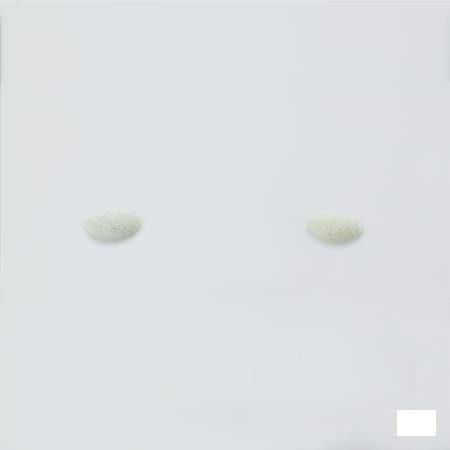 Bio-antioxidant Tabletten 90  -  Pharma Nord
