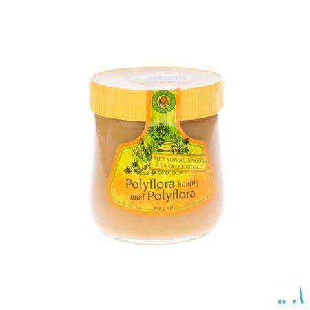 Melapi Polyflora + gelee Royale 500 gr 5534  -  Revogan