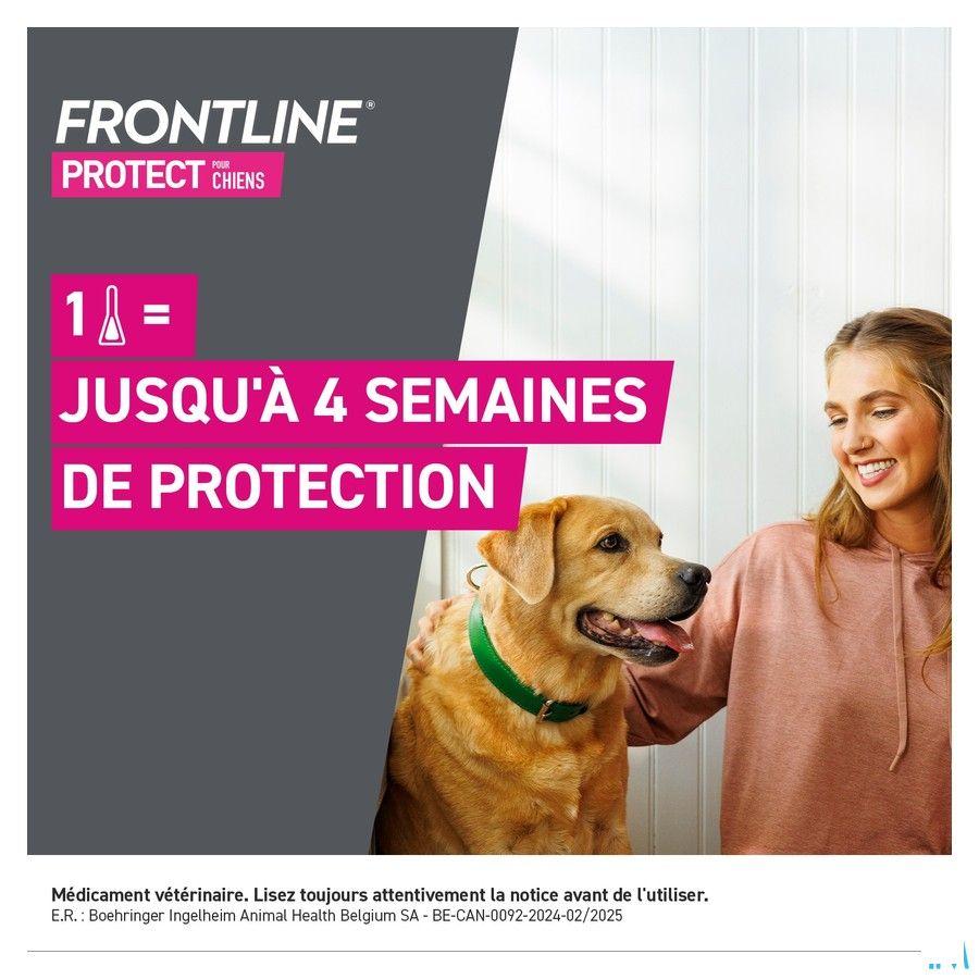 Frontline Protect Spot On Opl Hond 10-20Kg Pipet 3