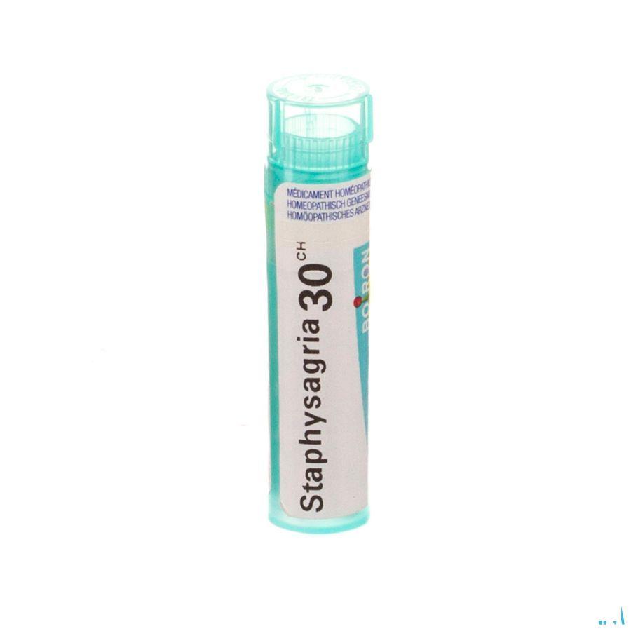 Staphysagria 30CH Gr 4g  -  Boiron