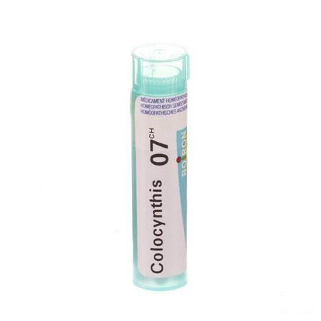 Colocynthis 7CH Gr 4g  -  Boiron