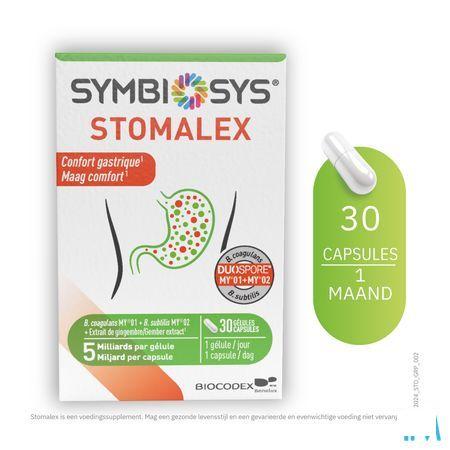 Stomalex Symbiosys Caps 30