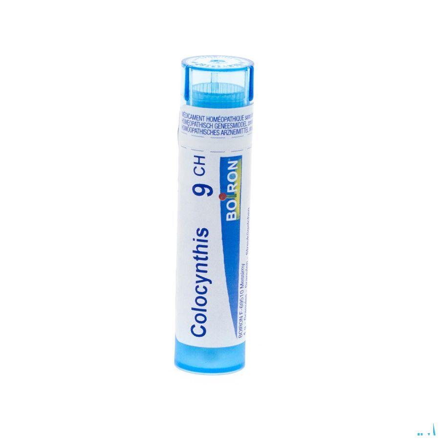 Colocynthis 9CH Gr 4g  -  Boiron