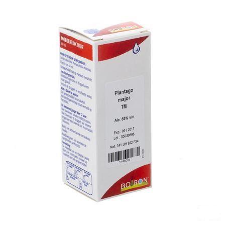 Plantago Major Tm 60 ml  -  Boiron