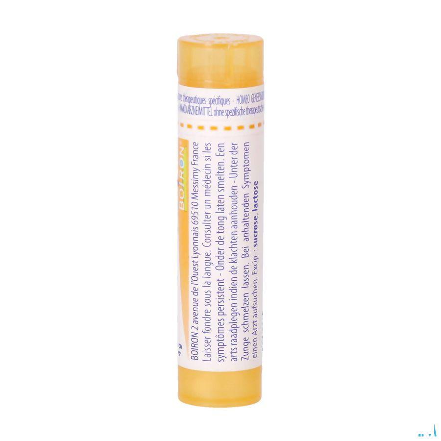 Thyroidinum 15CH Gr 4g  -  Boiron