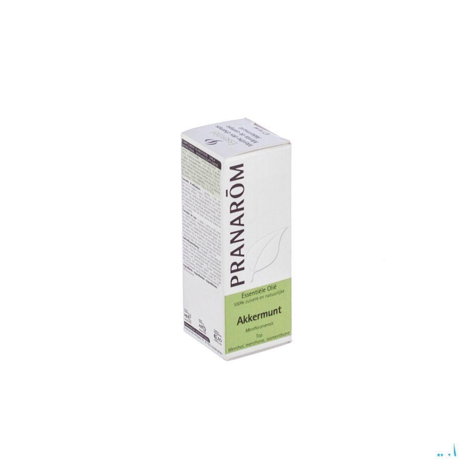 Munt Essentiele Olie 10 ml  -  Pranarom
