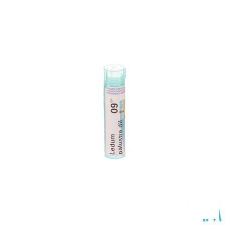 Ledum Palustre 9CH Gr 4g  -  Boiron