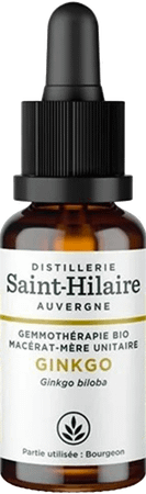 Ginkgo Mac.glyc. 30 ml  -  Bioholistic Diffusion