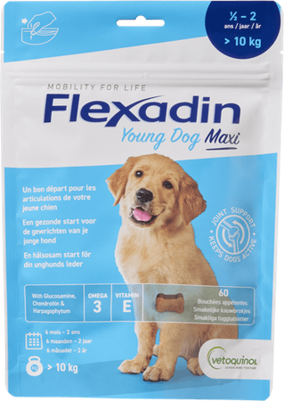 Flexadin Young Dog Maxi Chew 60