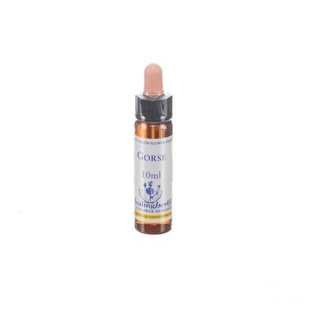 Healing Herbs Gorse 10 ml