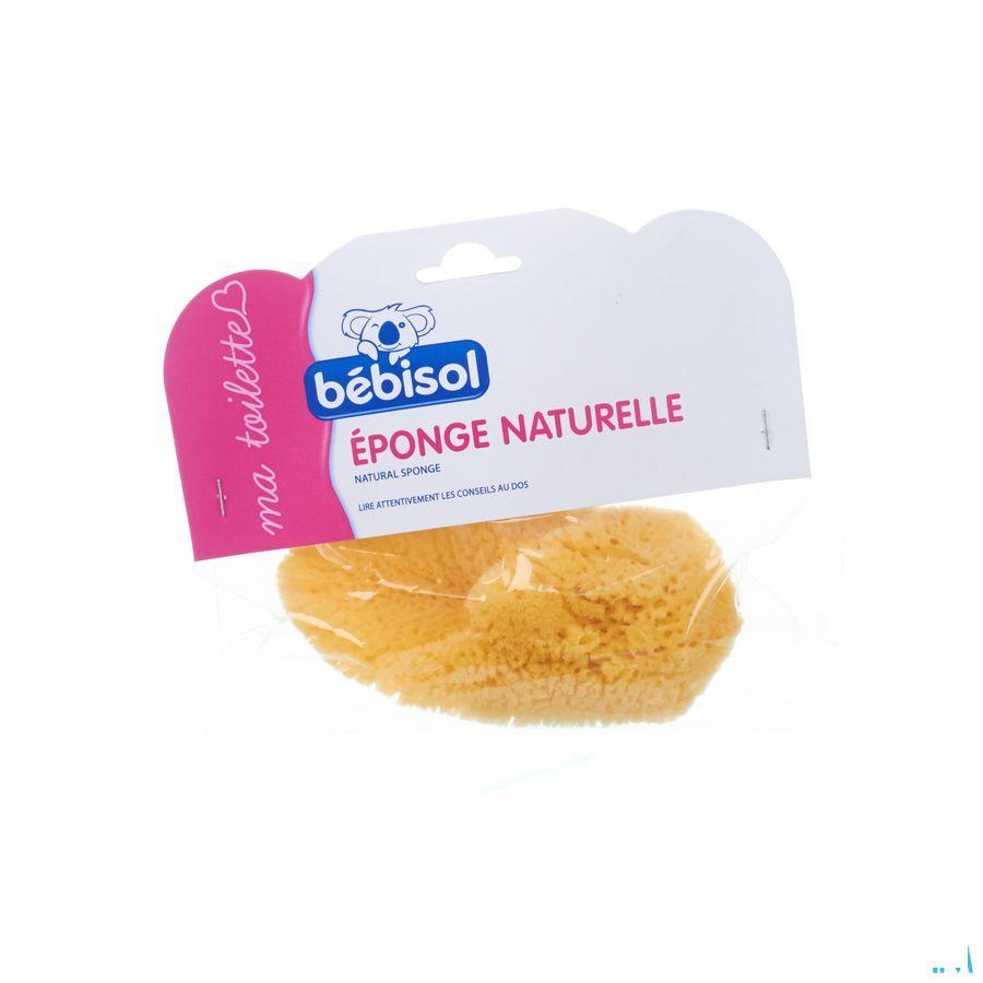 Bebisol Nagelschaartje Recht  -  Infinity Pharma