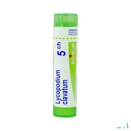 Lycopodium Clavatum 5CH Gr 4g  -  Boiron