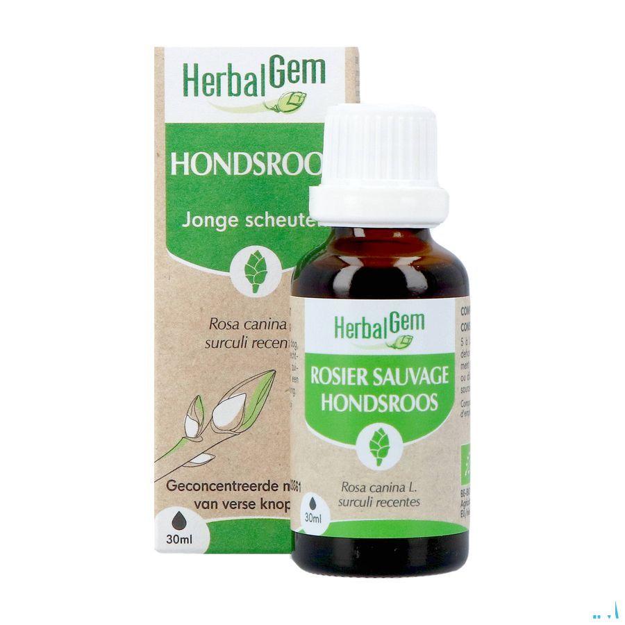 Herbalgem Rosier Sa Bio 30 ml