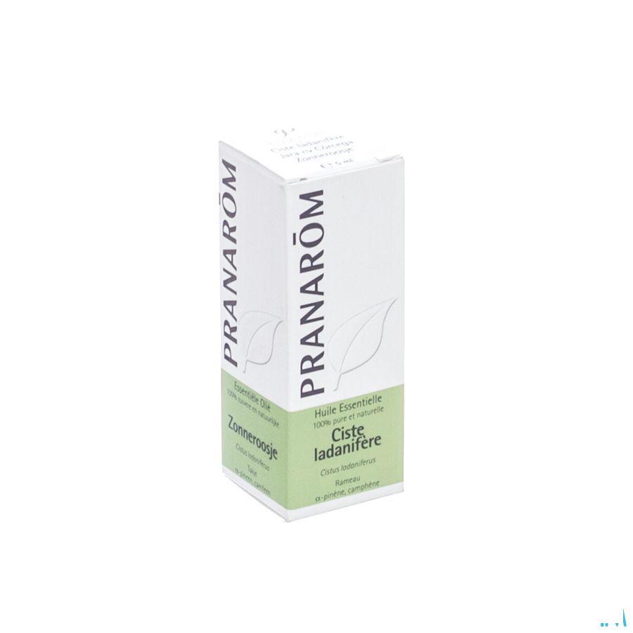 Ciste Ladanifere Essentiele Olie 5 ml  -  Pranarom