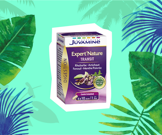 Juvamine Transit Intestinal Comprimes 60  -  Urgo Healthcare