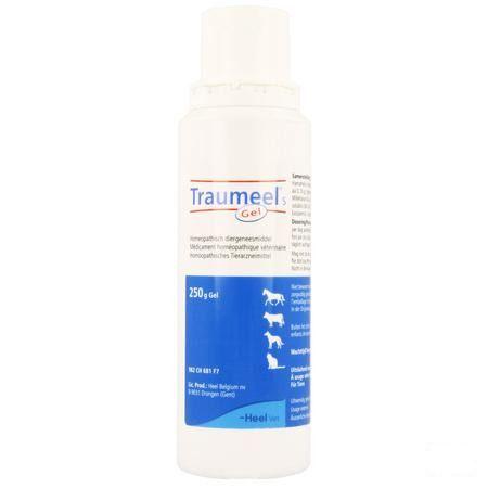 Traumeel S Us.vet Gel 250 gr  -  Heel