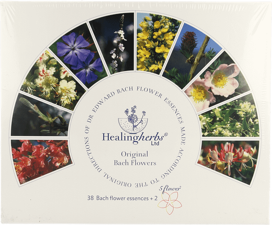 Healing Herbs Set 40x10 ml