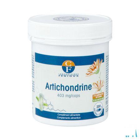 Artichondrine Gel 200  -  Fenioux