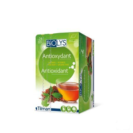 Biolys Rooibos The Vert Sachets 24  -  Tilman