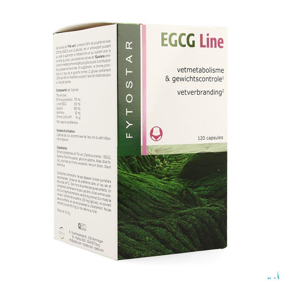 Fytostar Egcg Line Maxi Capsule 120  -  Ocebio