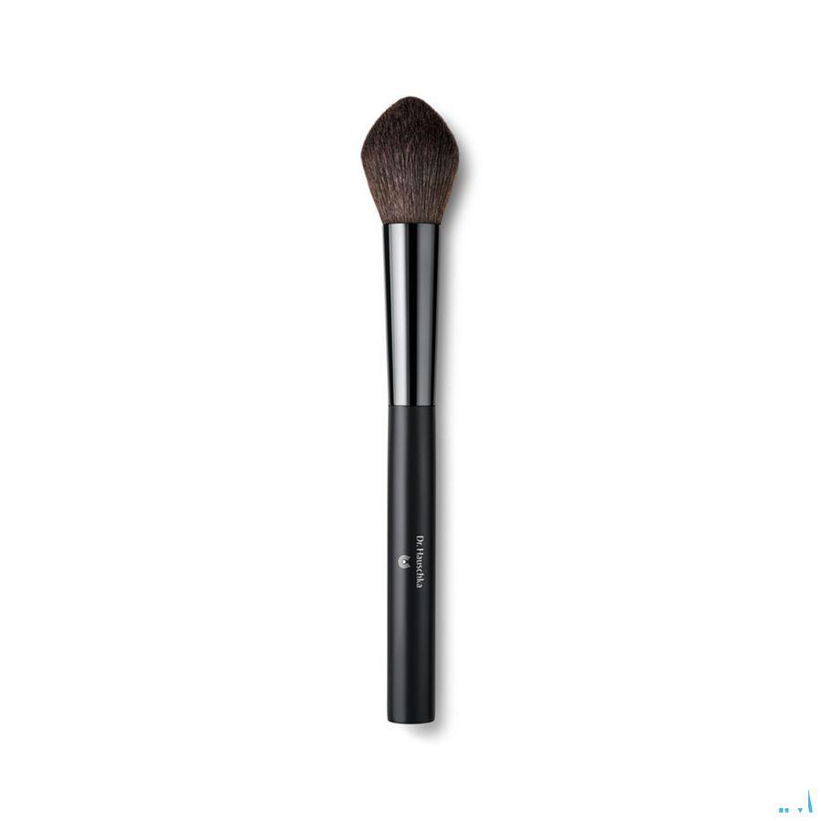 Dr.Hauschka Blusher Brush 1 st   -  Wala Nederland