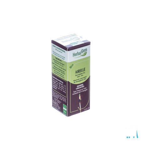 Herbalgem Airelle Macerat 15 ml  -  Herbalgem