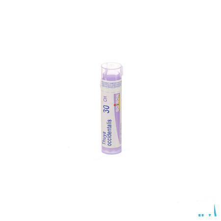Thuya Occidentalis 30CH Gr 4g  -  Boiron