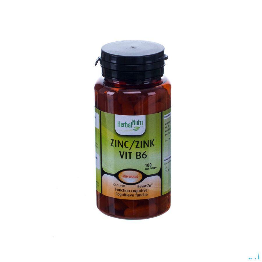 Herbalnutri Zink Vit B6 Gel 100  -  Herbalgem