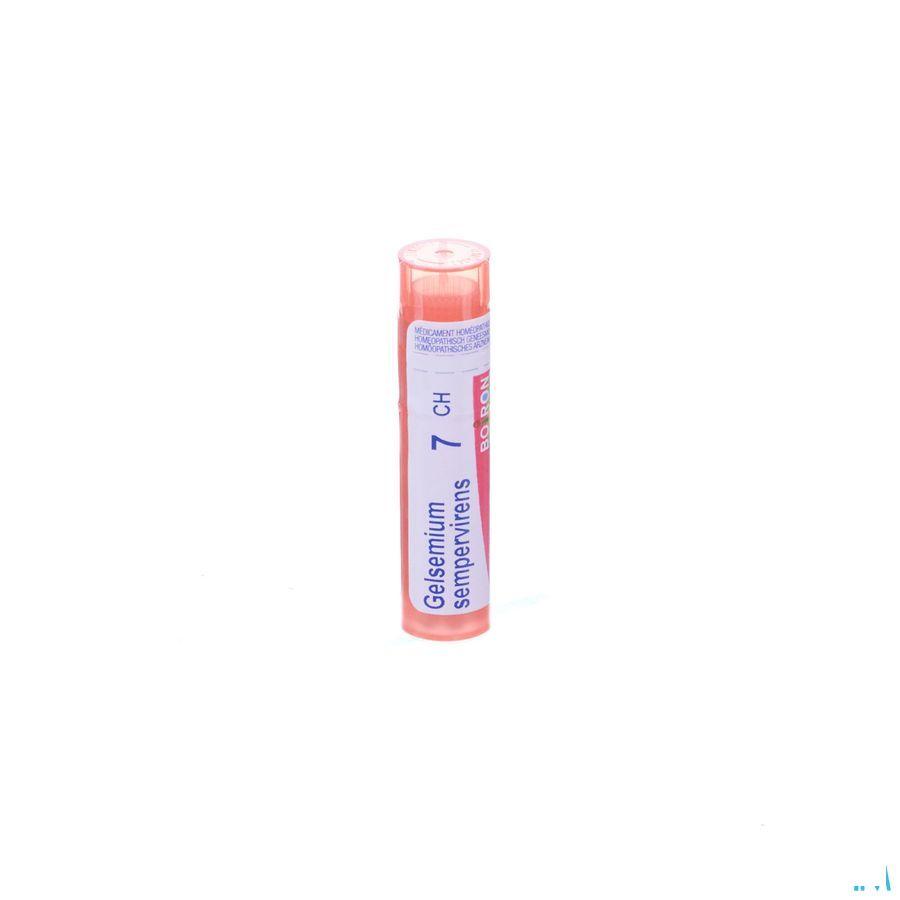 Gelsemium Sempervirens 7CH Gr 4g  -  Boiron